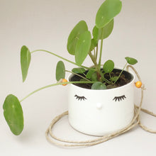 Load image into Gallery viewer, Nosy hanging flower pot, medium size, closed eyes