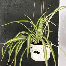 Load image into Gallery viewer, Nosy hanging flower pot, large size, closed eyes, mustache