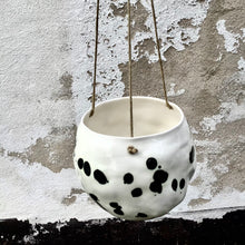 Load image into Gallery viewer, Snowball hanger/flowerpot, dalmatian