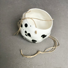 Load image into Gallery viewer, Snowball hanger/flowerpot, dalmatian