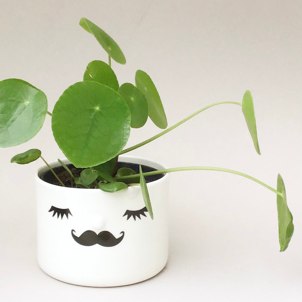 Nosy flower pot, medium size, closed eyes and moustache