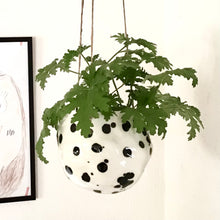 Load image into Gallery viewer, Snowball hanger/flowerpot, dalmatian