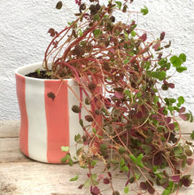 Load image into Gallery viewer, Striped flower pot, large size, pink
