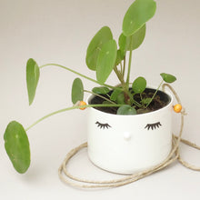 Load image into Gallery viewer, Nosy hanging flower pot, medium size, closed eyes

