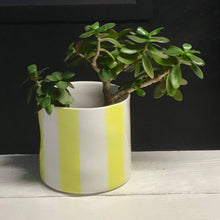 Load image into Gallery viewer, Striped flower pot, large size, yellow
