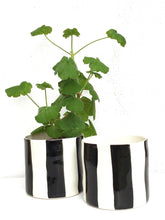 Load image into Gallery viewer, Striped flower pot, large size, black stripes
