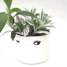 Load image into Gallery viewer, Nosy flower pot, medium size, one open eye
