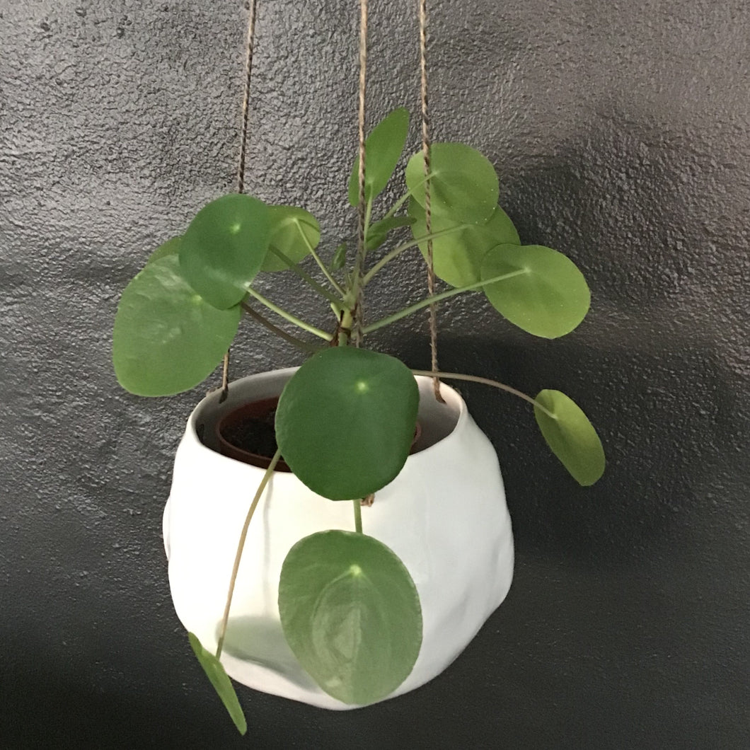 Snowball hanger/flowerpot