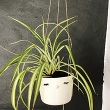 Load image into Gallery viewer, Nosy hanging flower pot, large size, closed eyes
