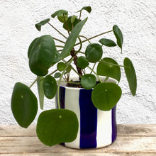 Load image into Gallery viewer, Striped flower pot, large size, dark blue
