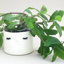 Load image into Gallery viewer, Nosy flower pot, medium size, closed eyes.
